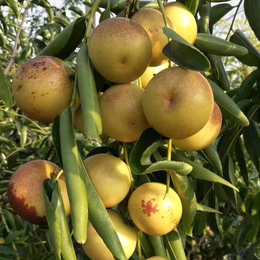 相识随缘《禁止连赞🚫》