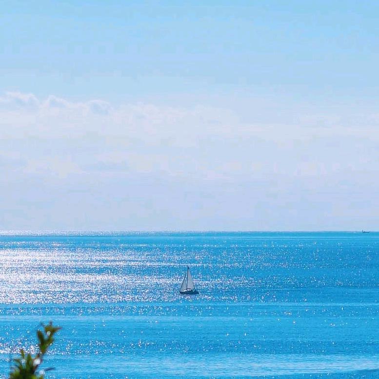 就是余🐟