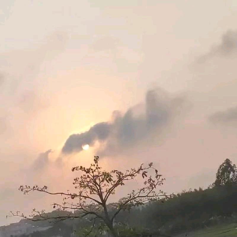 糖谈