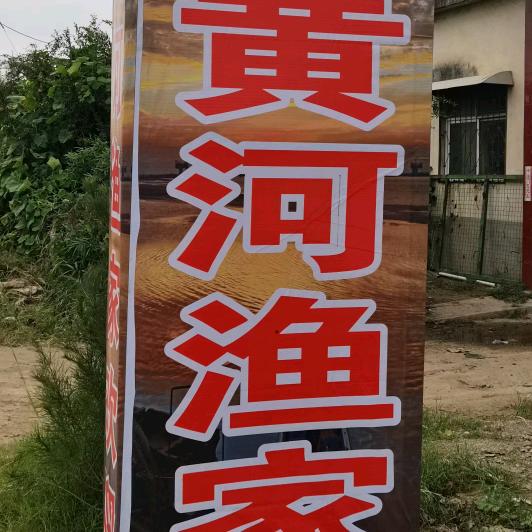 九龙渔庄