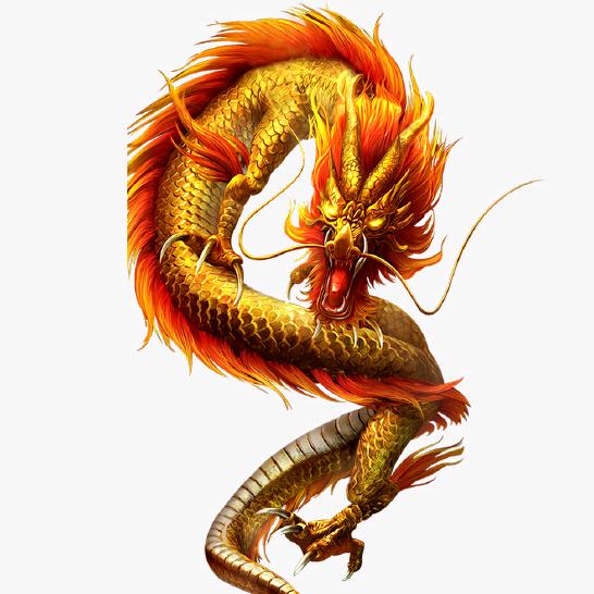 🐉龍🐉