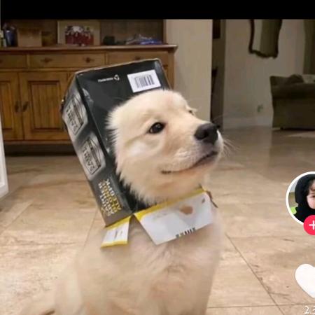 一会啊