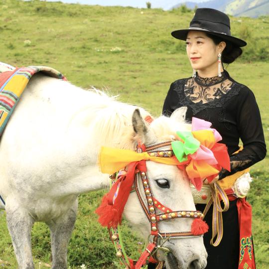 金川-阿妹（直播号）