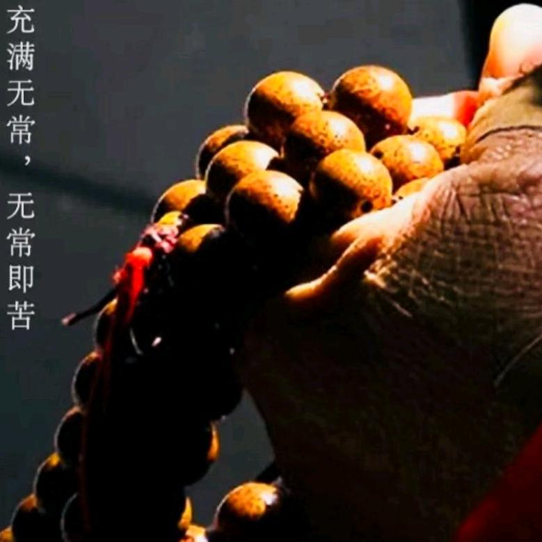 秋天的枫叶