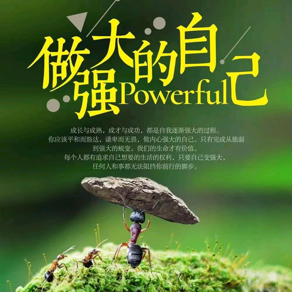 撸起袖子加油干