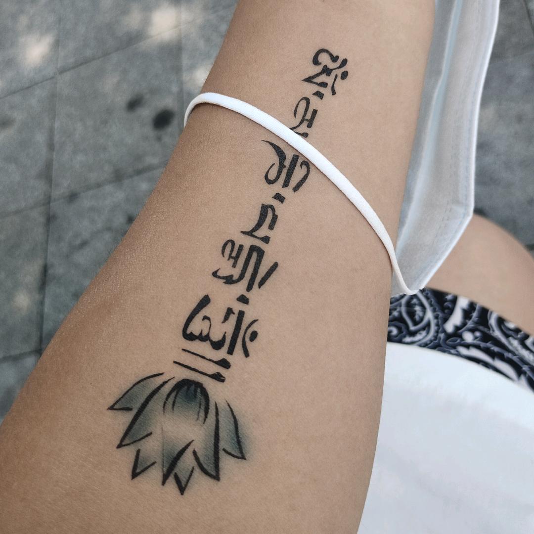 一只小兔鸡