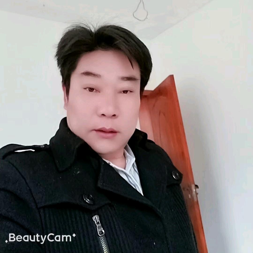 孤心泪