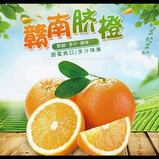 赣南土特产