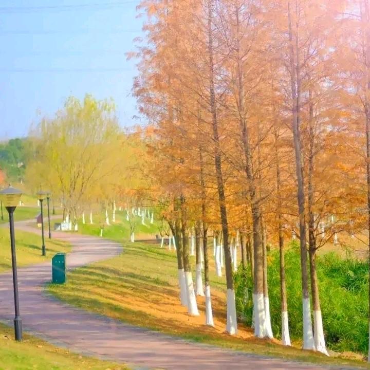 生命如歌2004