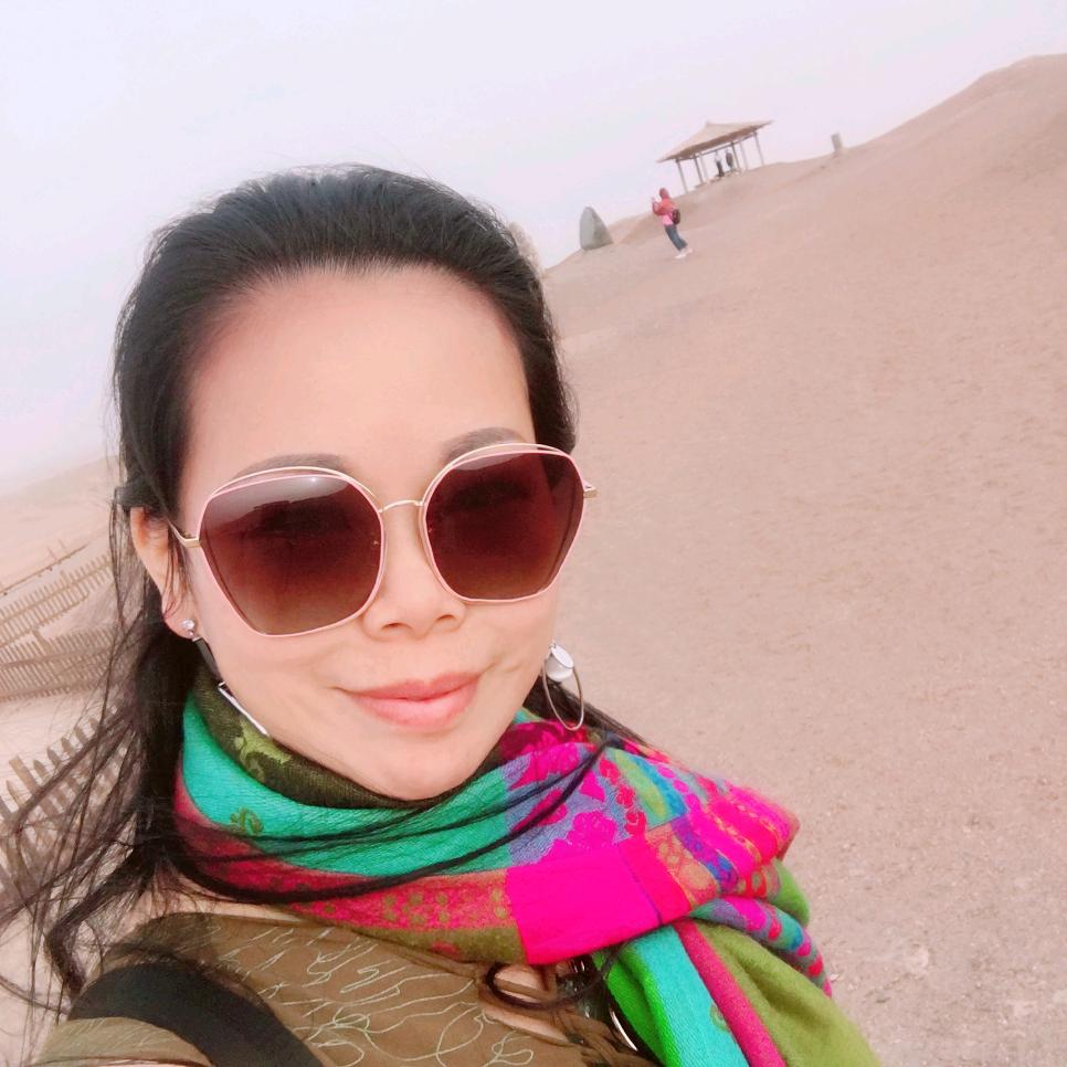 幸福港--大雁(冲千粉)