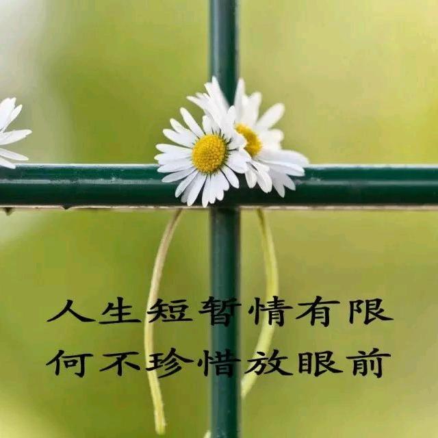 ℋღ᭄梦想在远方ꦿ҉࿐