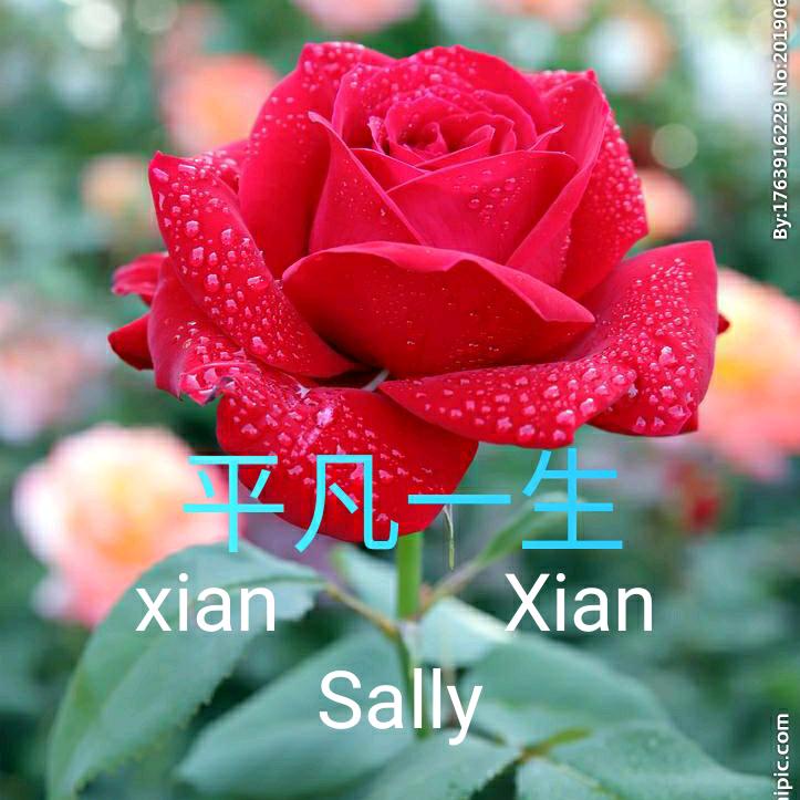 仙仙
