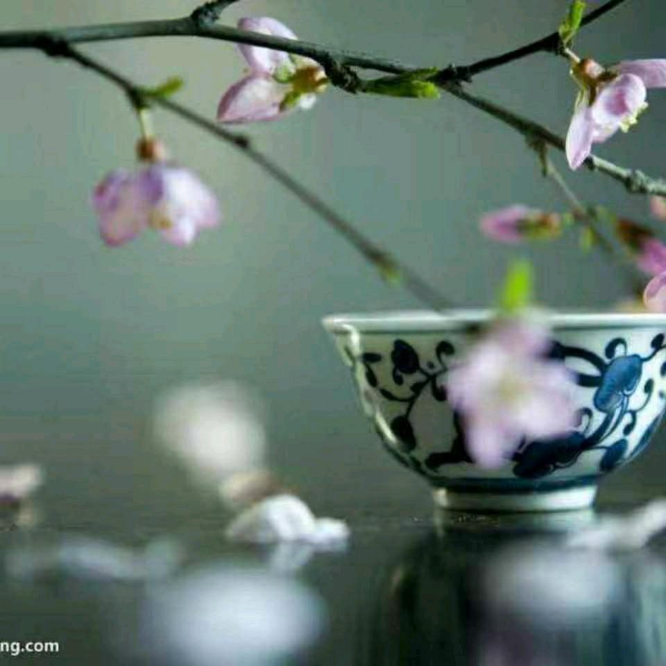 蝶恋花