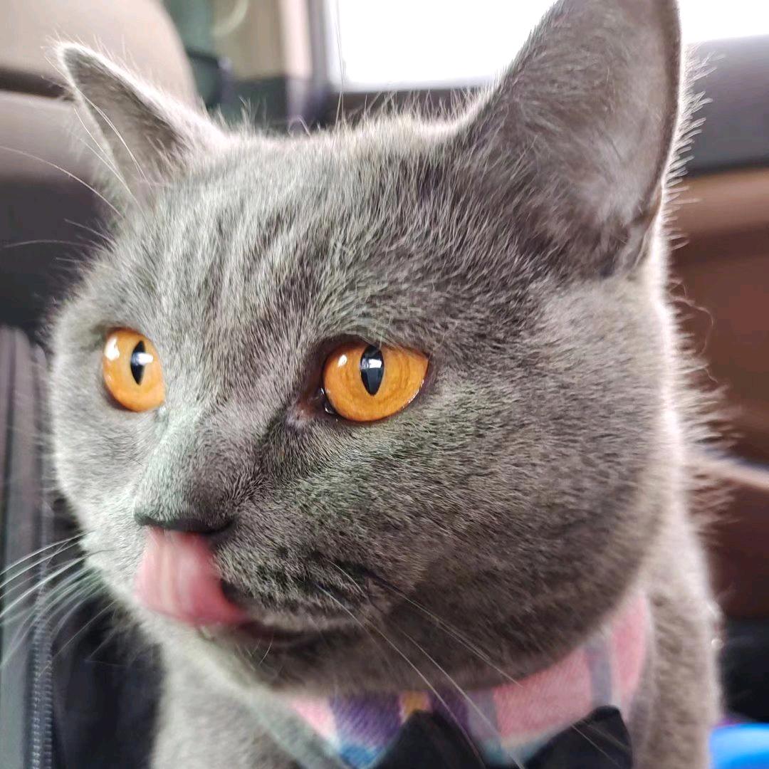 放弃—我做不到