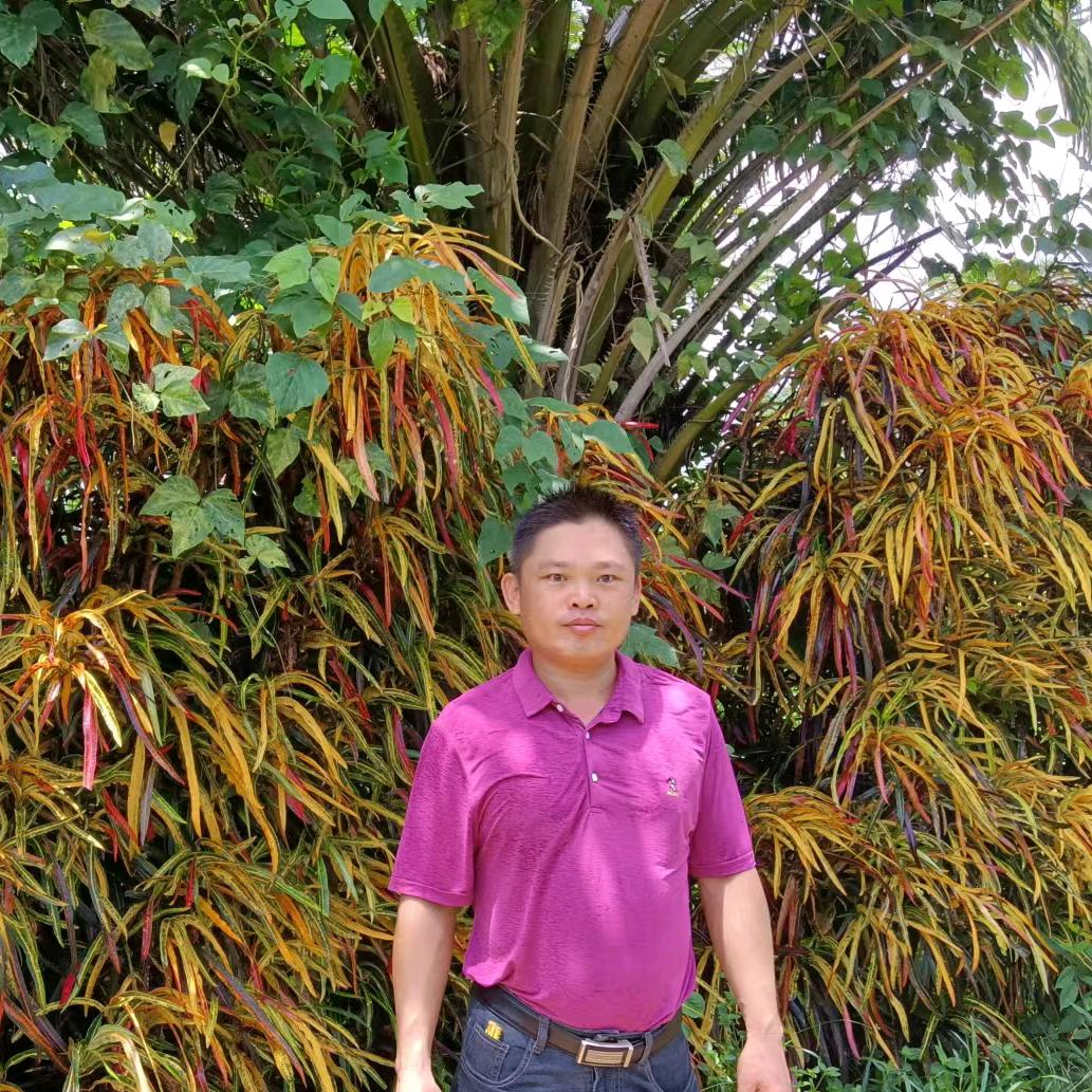 自贸岛商会房地产