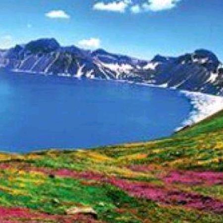 谁懂我心🌺🌺