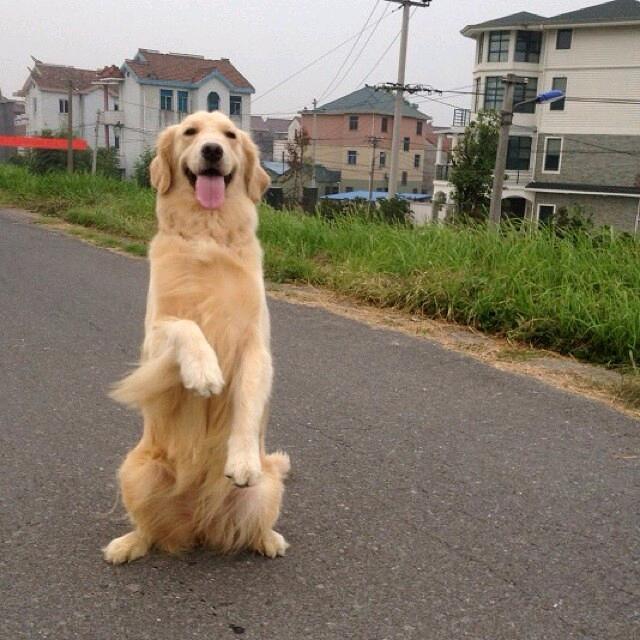 奥德彪精神