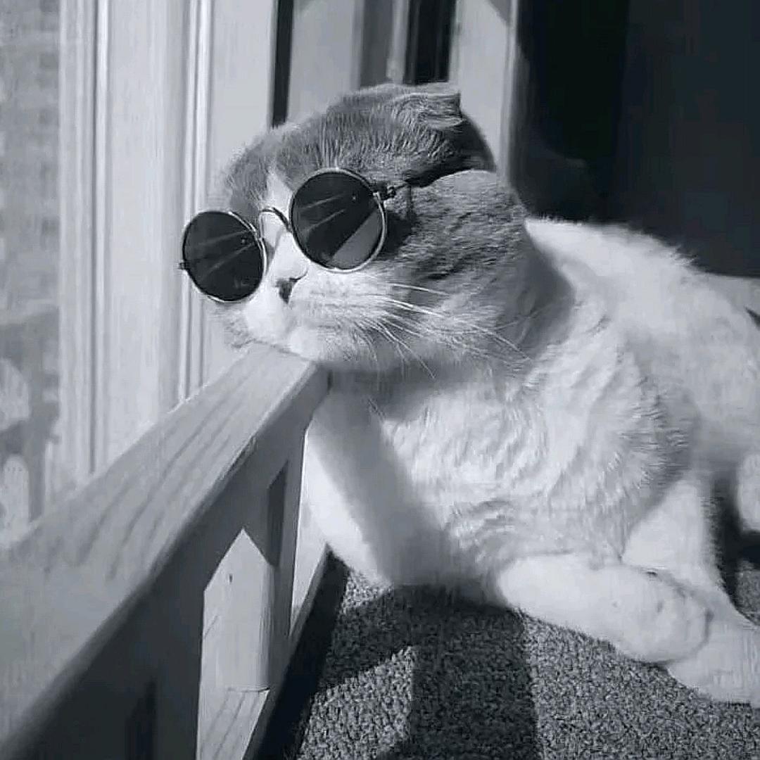 恼春風