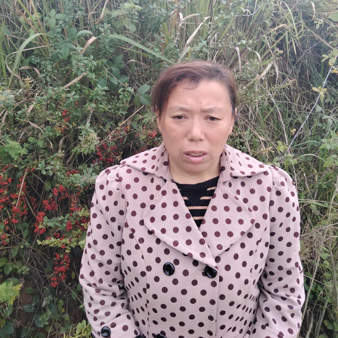农村谢姐