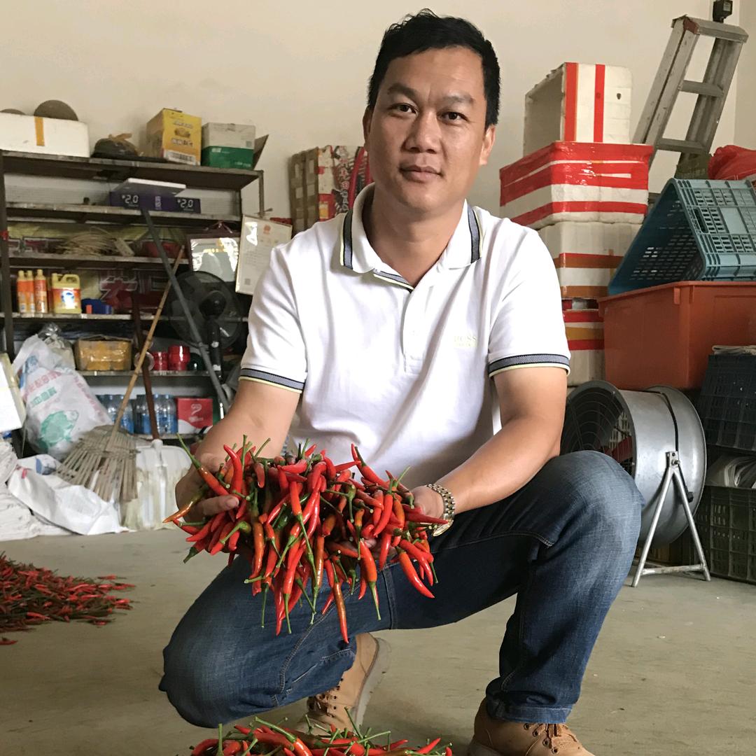 润繁种业