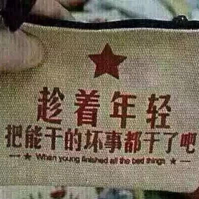 骑猪闯红灯