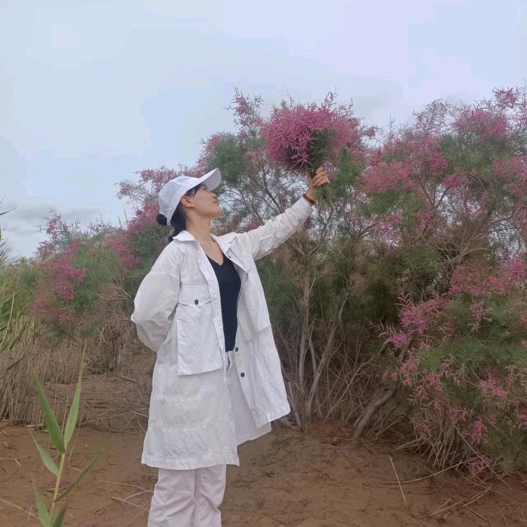 灵芝