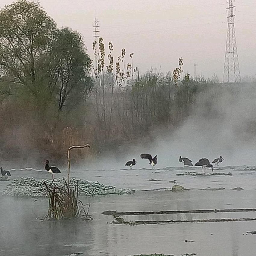 用户8043452252105佳源