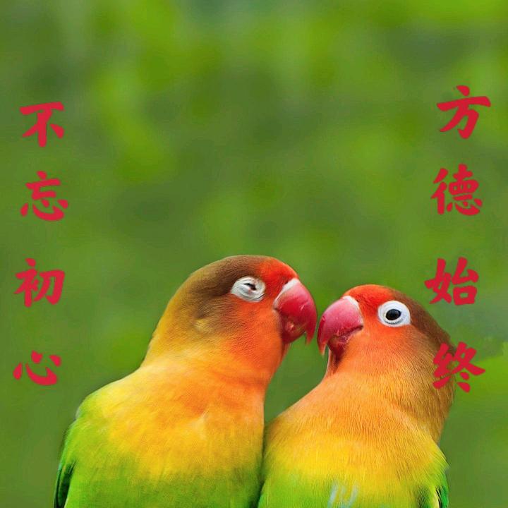 @永远永远在路上注意安全