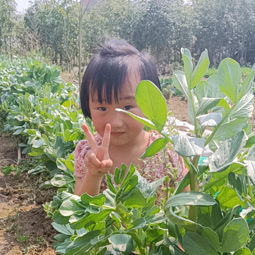 张云云