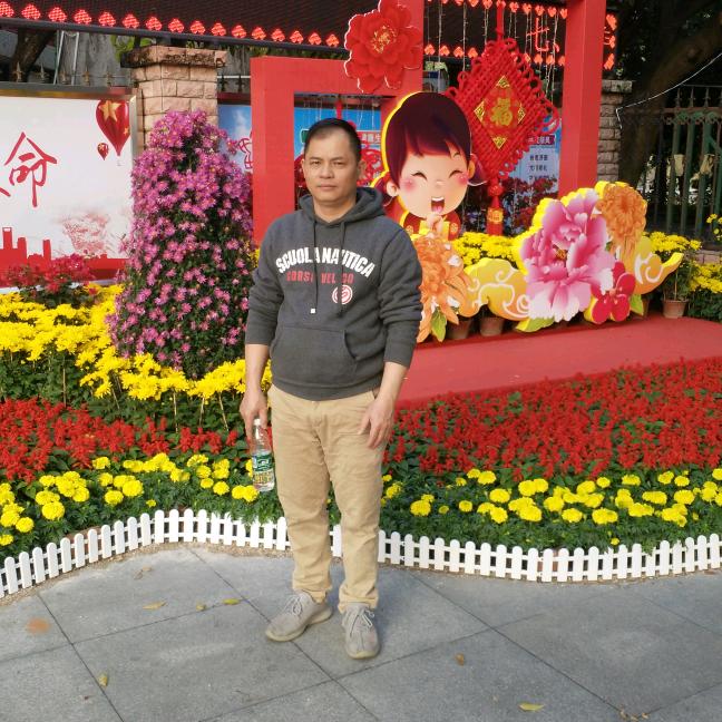 展翅鹏辉