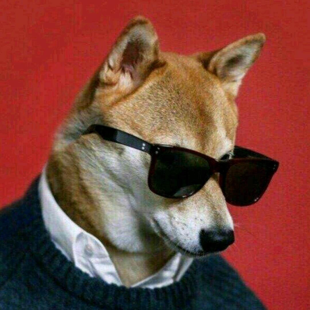 不知道改啥昵称