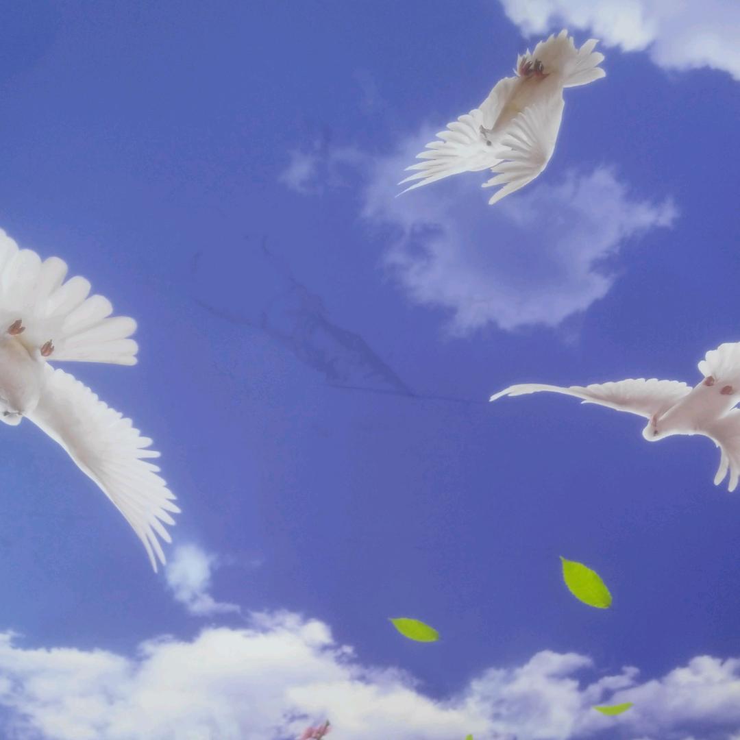 童年再美也是回忆