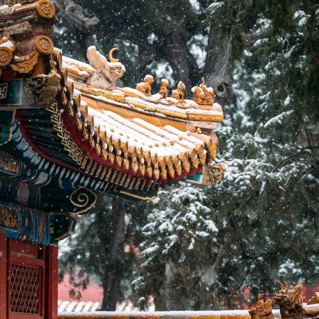 哲寶吃飯沒