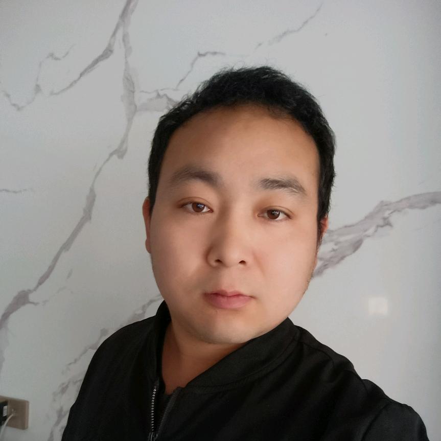 小灰不会飞