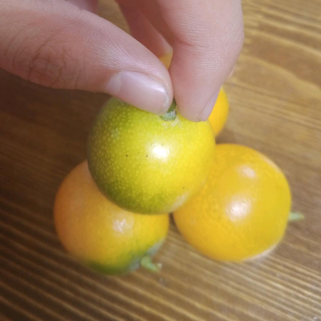 橘子姐