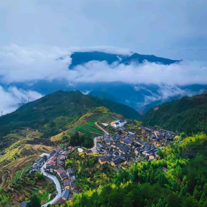 想飞的兔子