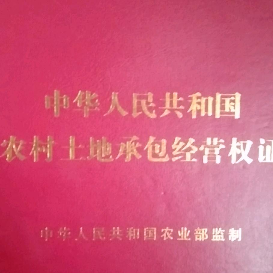 城府