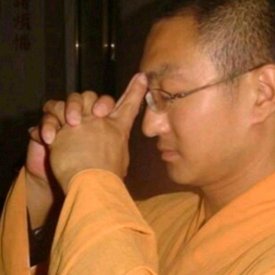 顿智