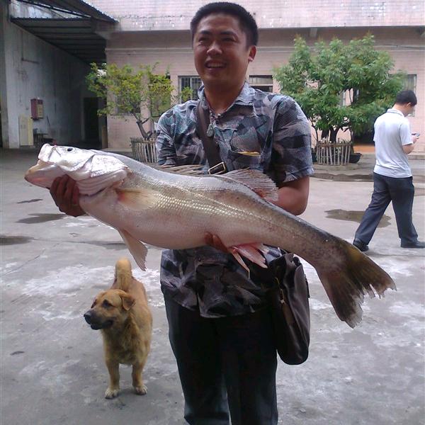 常连杆（老陈）