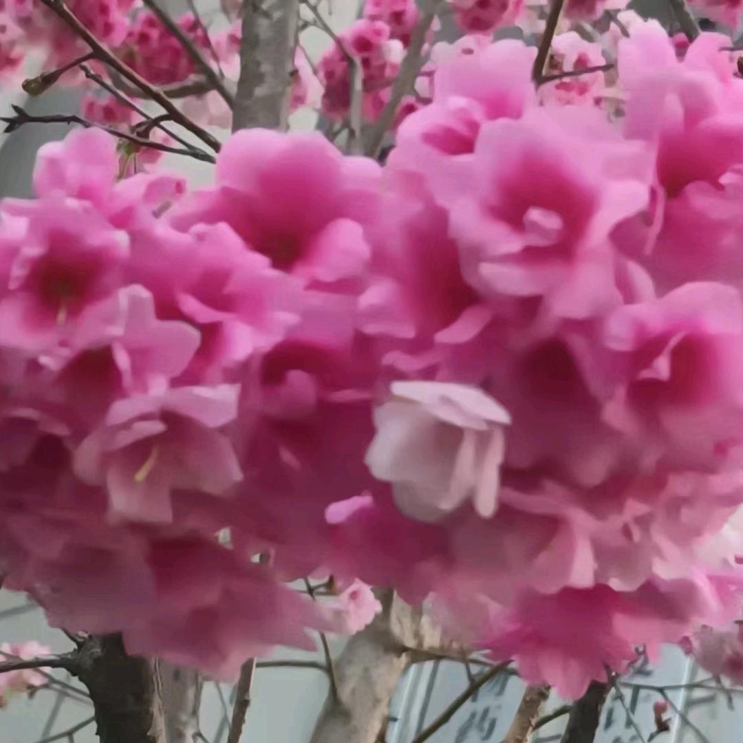 用户9543339595493