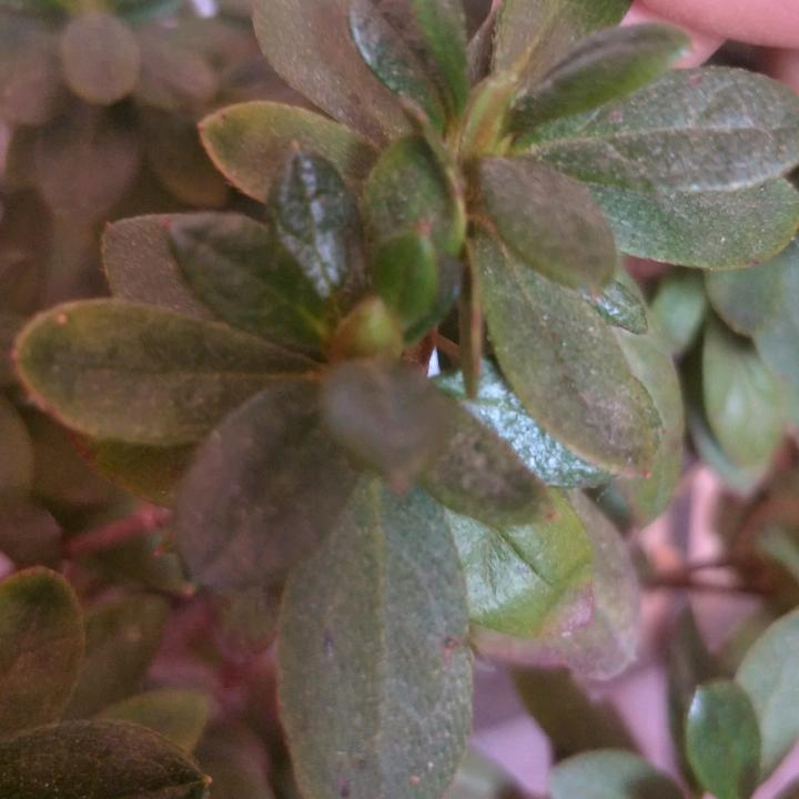 😃夏日的阳，光聊天直播