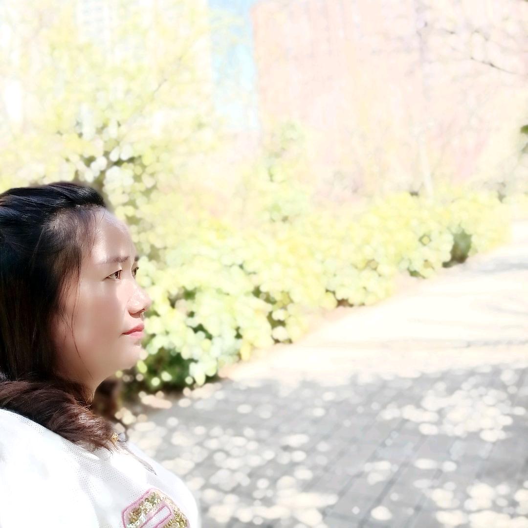 清雅淡然