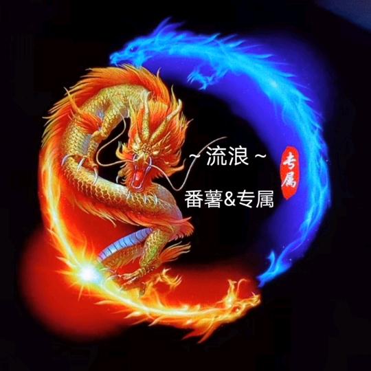 ✨ོ✨流✨浪✨ོ✨