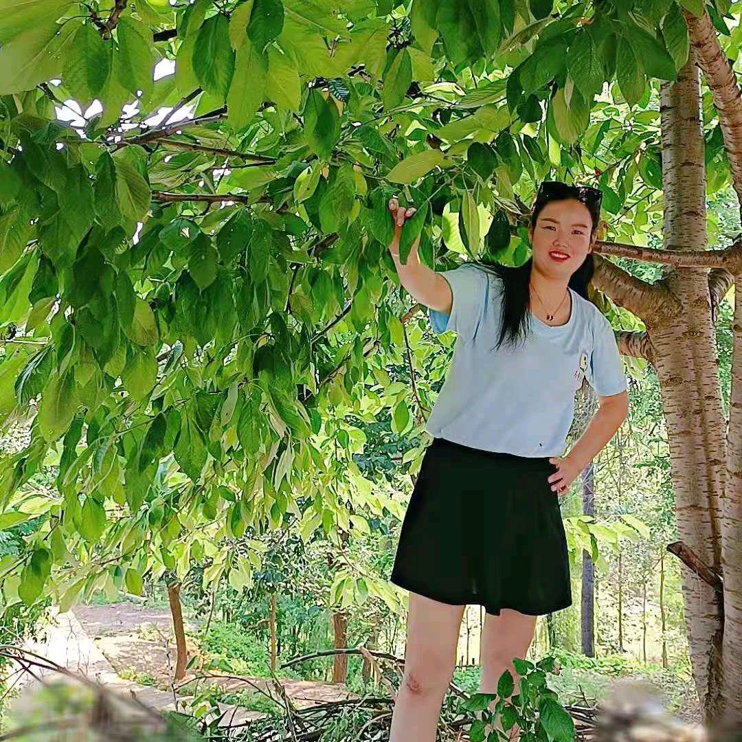 🌈乡村燕子🍊