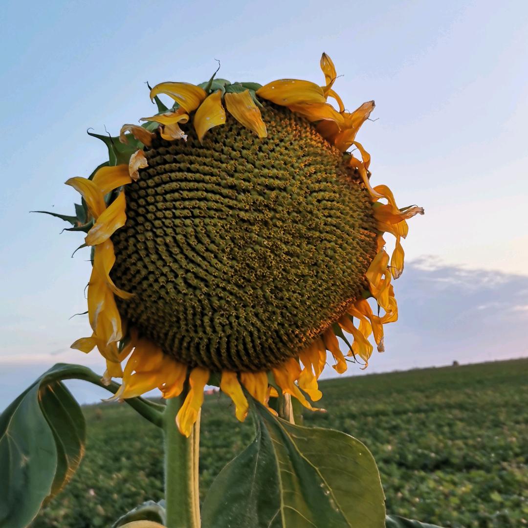 心态好一切都好
