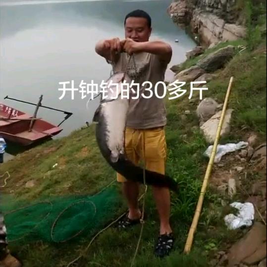 巴山搏击钓鱼人