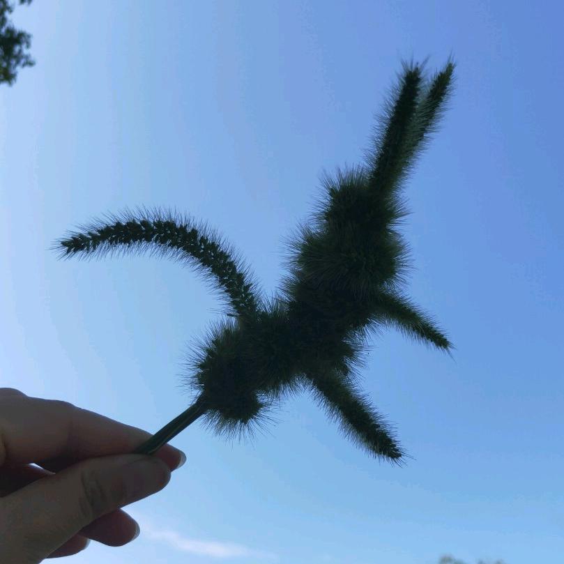 我就是我