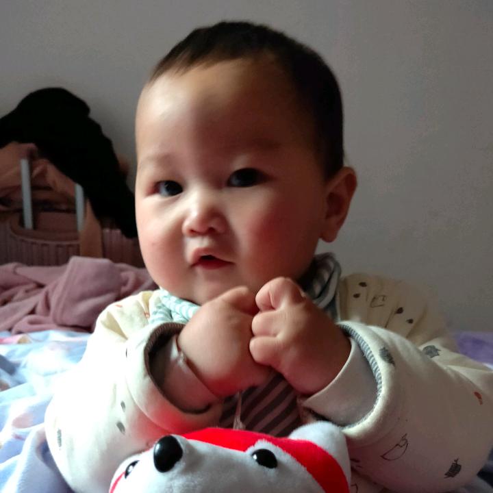 桐桐