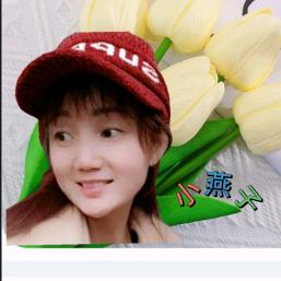小燕子