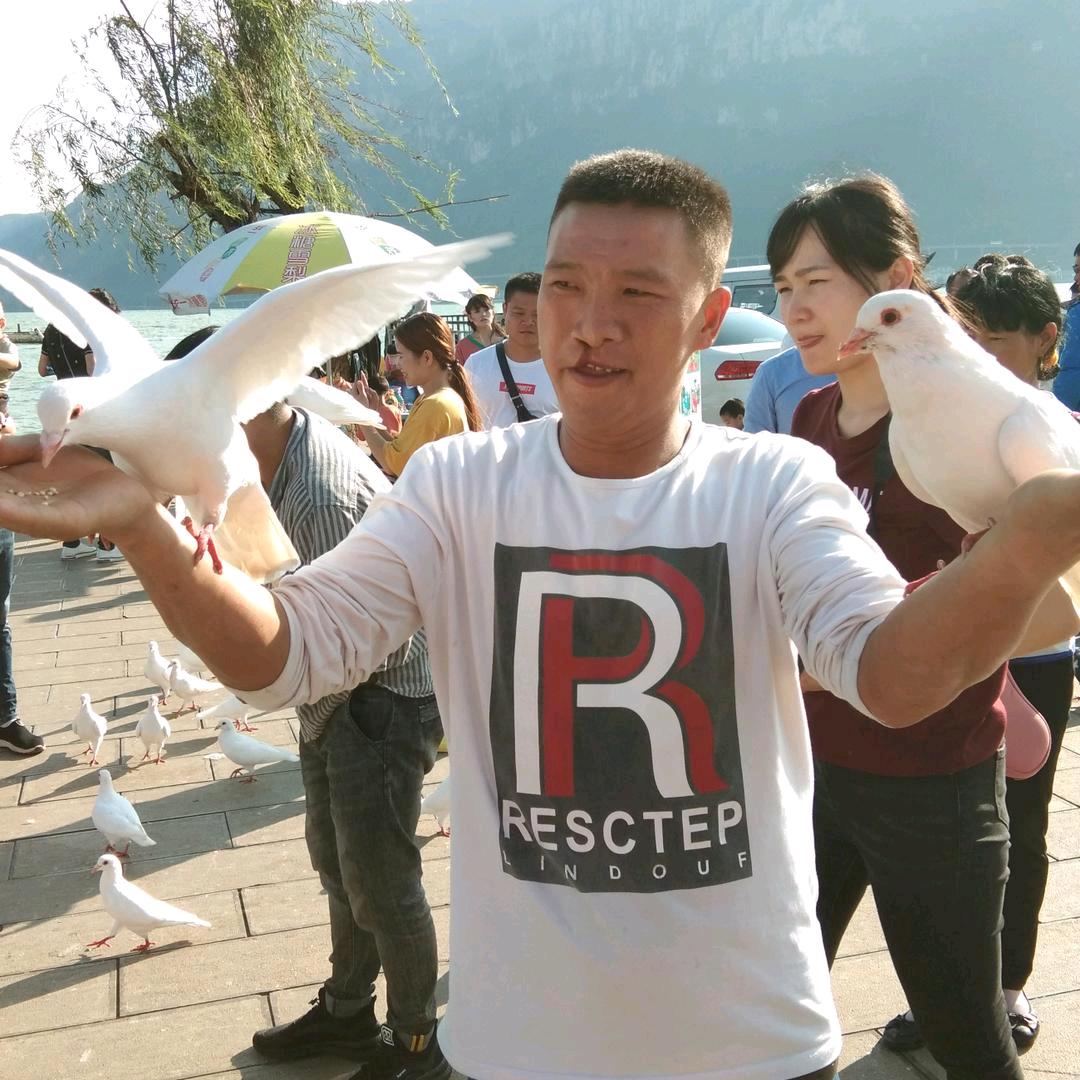 努力奋斗战胜明天